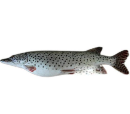 ��������ͼƬ��� ����˹������������ж��