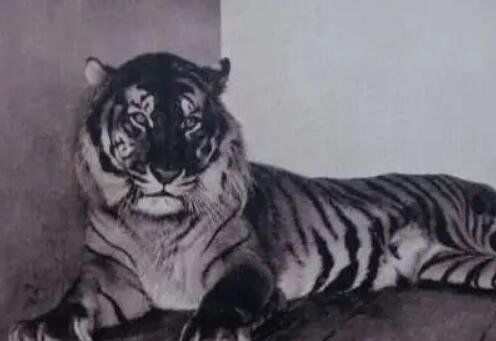 �Ĵ���ʲô �Ѿ�����������ϻ�����Щ