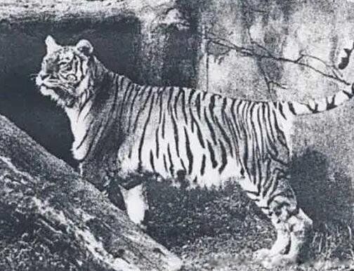 �Ĵ���ʲô �Ѿ�����������ϻ�����Щ