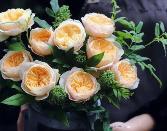 ����ҶΪʲô��300��õ�� ��������Ҷõ���Լһ�����Ǯ