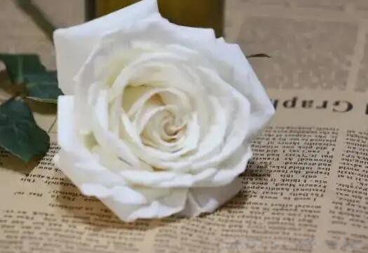 ����ҶΪʲô��300��õ�� ��������Ҷõ���Լһ�����Ǯ