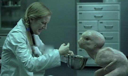 �����ӽ�������ʲô ��������Գ�ӽ�����������