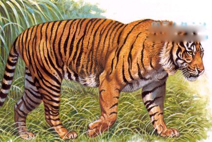 ���廢�ж�С��ʲô�� ������ô�����ԭ��