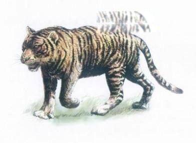 ���廢�ж�С��ʲô�� ������ô�����ԭ��