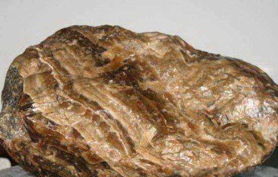 ������۸����Ǯһ�� ������������������