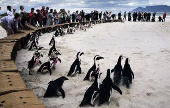 ���������ϼ��������� ��������ʲô����