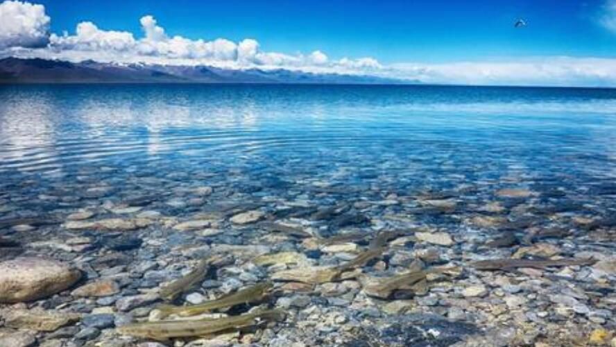 咸水湖最大的是哪个 中国最大咸水湖十大排名