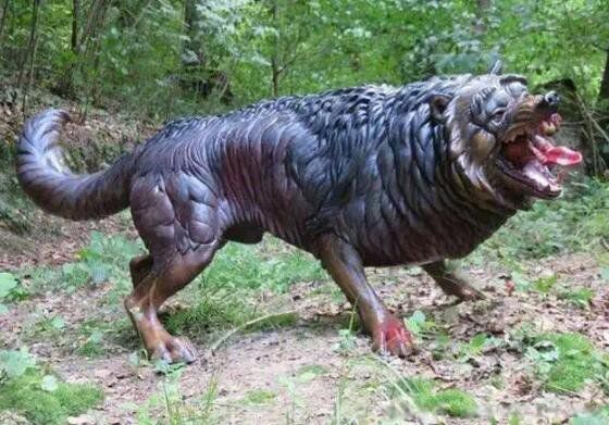 ����14��ֲ����� �����ֵ�14��ֲ�����