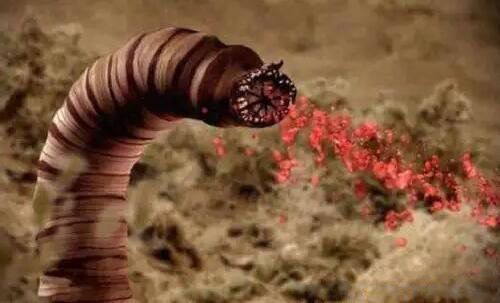 ����14��ֲ����� �����ֵ�14��ֲ�����