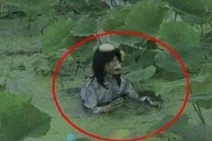 ����14��ֲ����� �����ֵ�14��ֲ�����