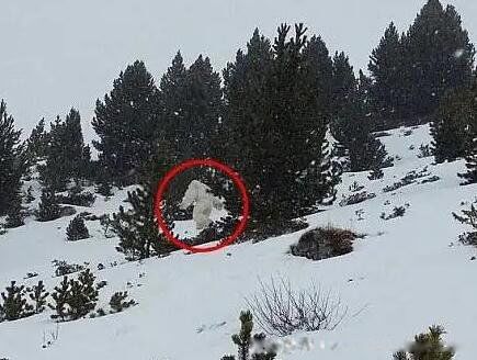 ����14��ֲ����� �����ֵ�14��ֲ�����