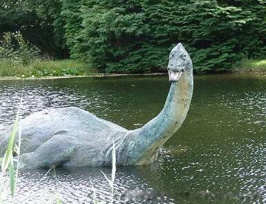 ����14��ֲ����� �����ֵ�14��ֲ�����