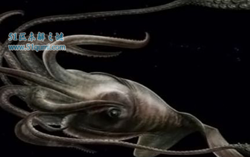 �����Ὤ��Ϊɶ���ܳ� �ʹ�������˭����