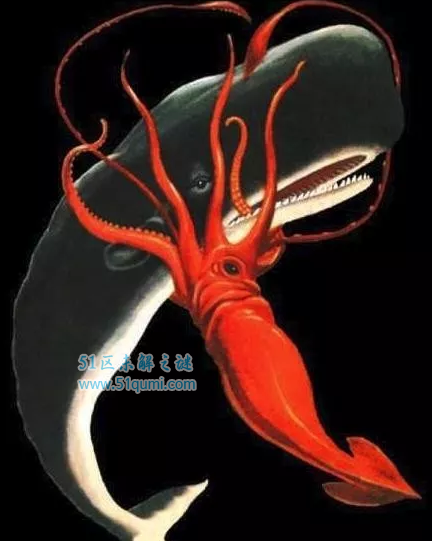 �����Ὤ��Ϊɶ���ܳ� �ʹ�������˭����