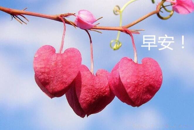 20句早上好的问候美句 简短正能量的问候语