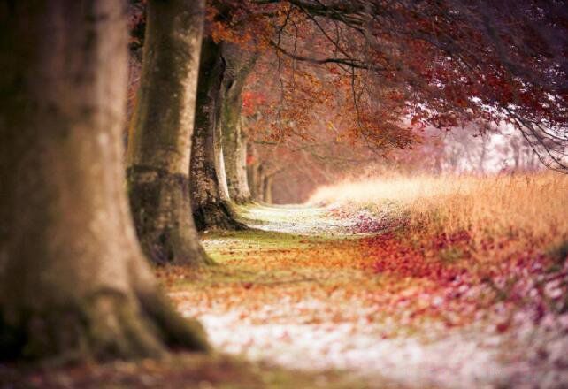 15�䶶�������İ����� �õ��İ����Ӷ���������