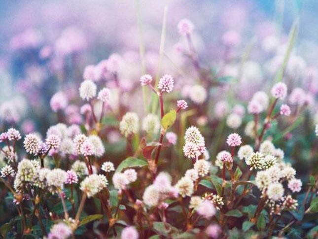 15�䶶�������İ����� �õ��İ����Ӷ���������