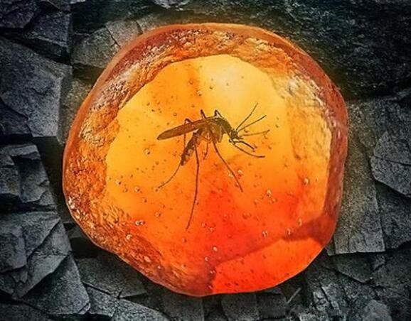 ��������˻��ƻ���̬ƽ���� ������������ʲôӰ��