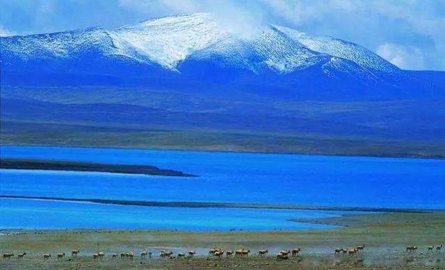 ����Դλ���ҹ��ĸ�ʡ ����ָ��������������