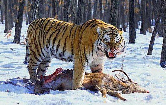 �����������ϻ����ٹ��� Ʒ���������ϻ�