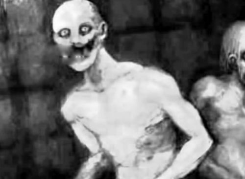 ����˹˯��ʵ��������� �ֲ���һ���²�˯��ʵ��