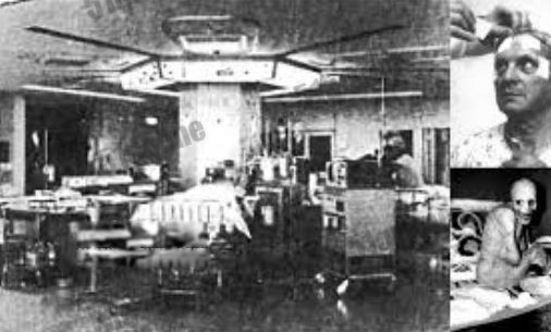 ����˹˯��ʵ��������� �ֲ���һ���²�˯��ʵ��