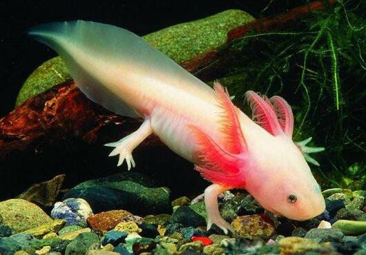 �����ʲô�����ж��� ����ץ��������ô��