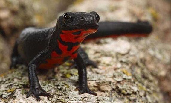 �����ʲô�����ж��� ����ץ��������ô��