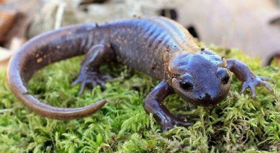 �����ʲô�����ж��� ����ץ��������ô��