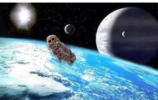 ˮ�ܳ����ɱ������ ����������1000����