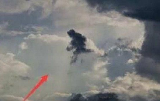 ������ĵ�һ������������� �����ĵ����������յ�֤��