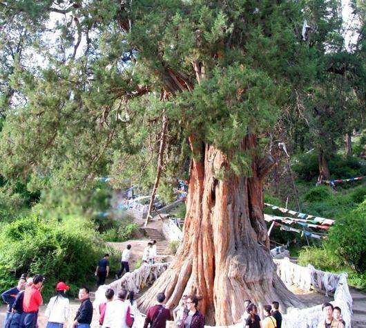 �ҹ���������ǰʮ�� ���������������