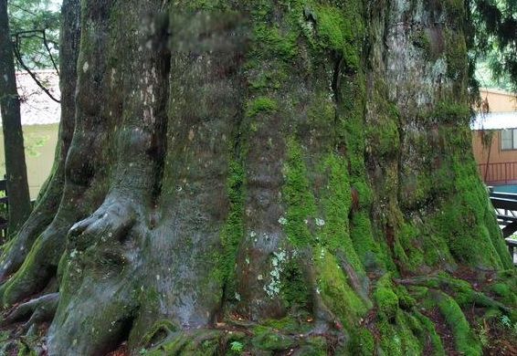 �ҹ���������ǰʮ�� ���������������