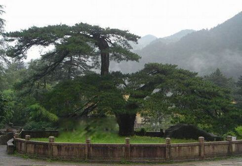 �ҹ���������ǰʮ�� ���������������