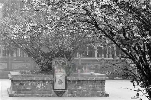 �ҹ���������ǰʮ�� ���������������