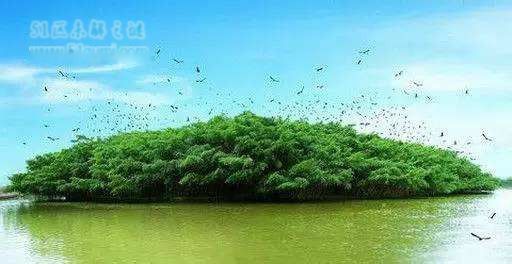 �ҹ���������ǰʮ�� ���������������