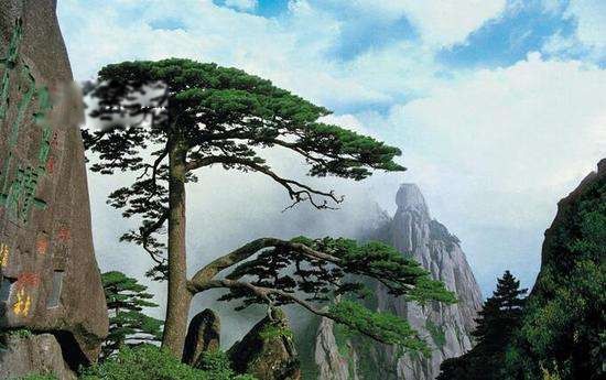 �ҹ���������ǰʮ�� ���������������