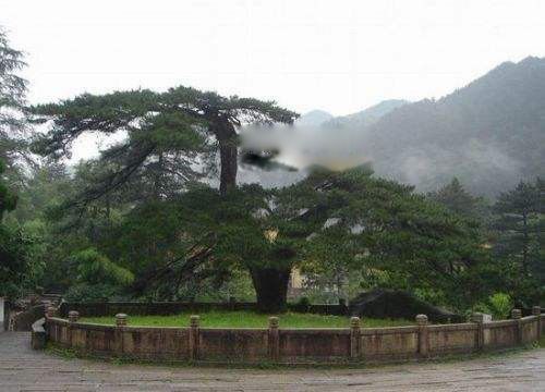 �ҹ���������ǰʮ�� ���������������