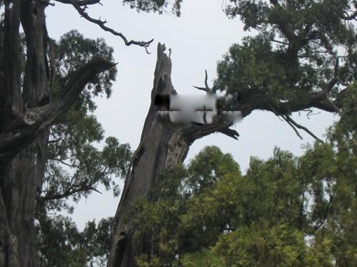 �ҹ���������ǰʮ�� ���������������