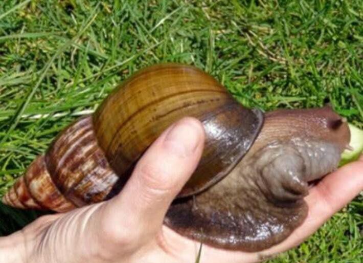 ���޴���ţ���Գ��� ���������ַ�ֳ����