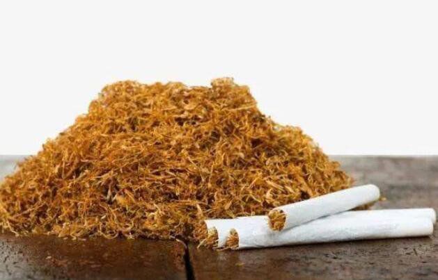 怎么样才能消灭蚂蚁 灭蚂蚁的最简单方法家里有蚂蚁