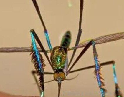 ��������ÿ������� �����������Ůɷ��