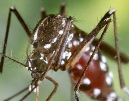 ��������ÿ������� �����������Ůɷ��