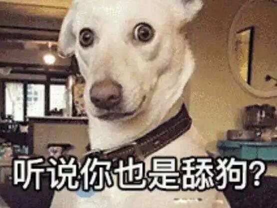 舔狗是什么样的人 以前的深情现在叫舔狗是什么意思