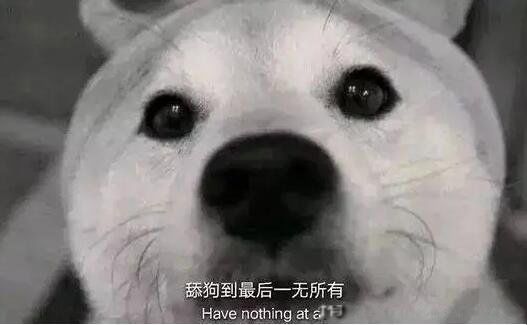 舔狗是什么样的人 以前的深情现在叫舔狗是什么意思