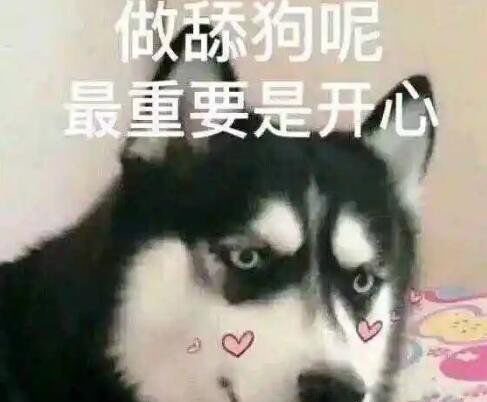 舔狗是什么样的人 以前的深情现在叫舔狗是什么意思