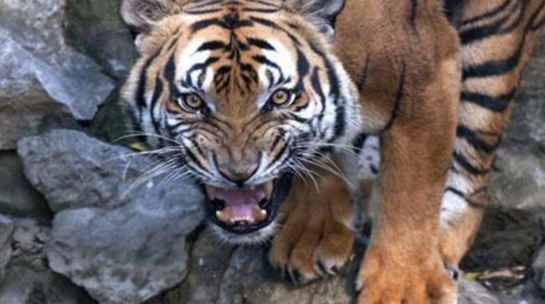 ���ᱣ����Щ��Ф ��Ϊʲô����Ф��