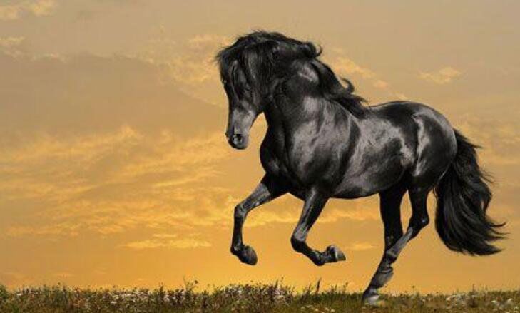 ���ᱣ����Щ��Ф ��Ϊʲô����Ф��