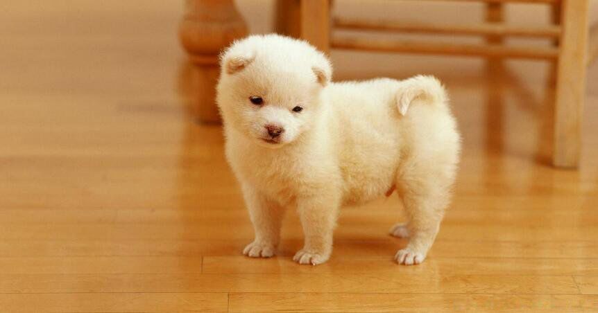 ���ᱣ����Щ��Ф ��Ϊʲô����Ф��