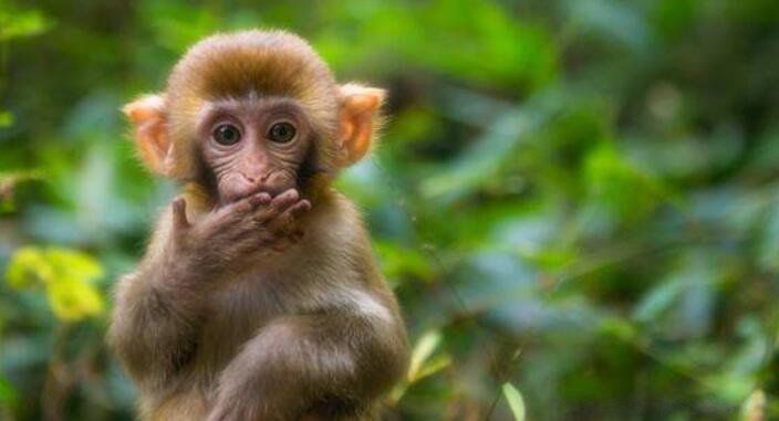 ���ᱣ����Щ��Ф ��Ϊʲô����Ф��